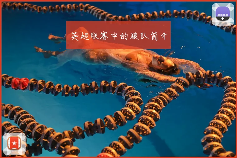 英超联赛中的狼队简介