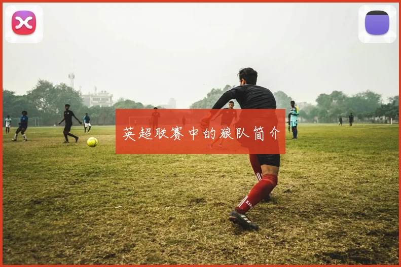 英超联赛中的狼队简介
